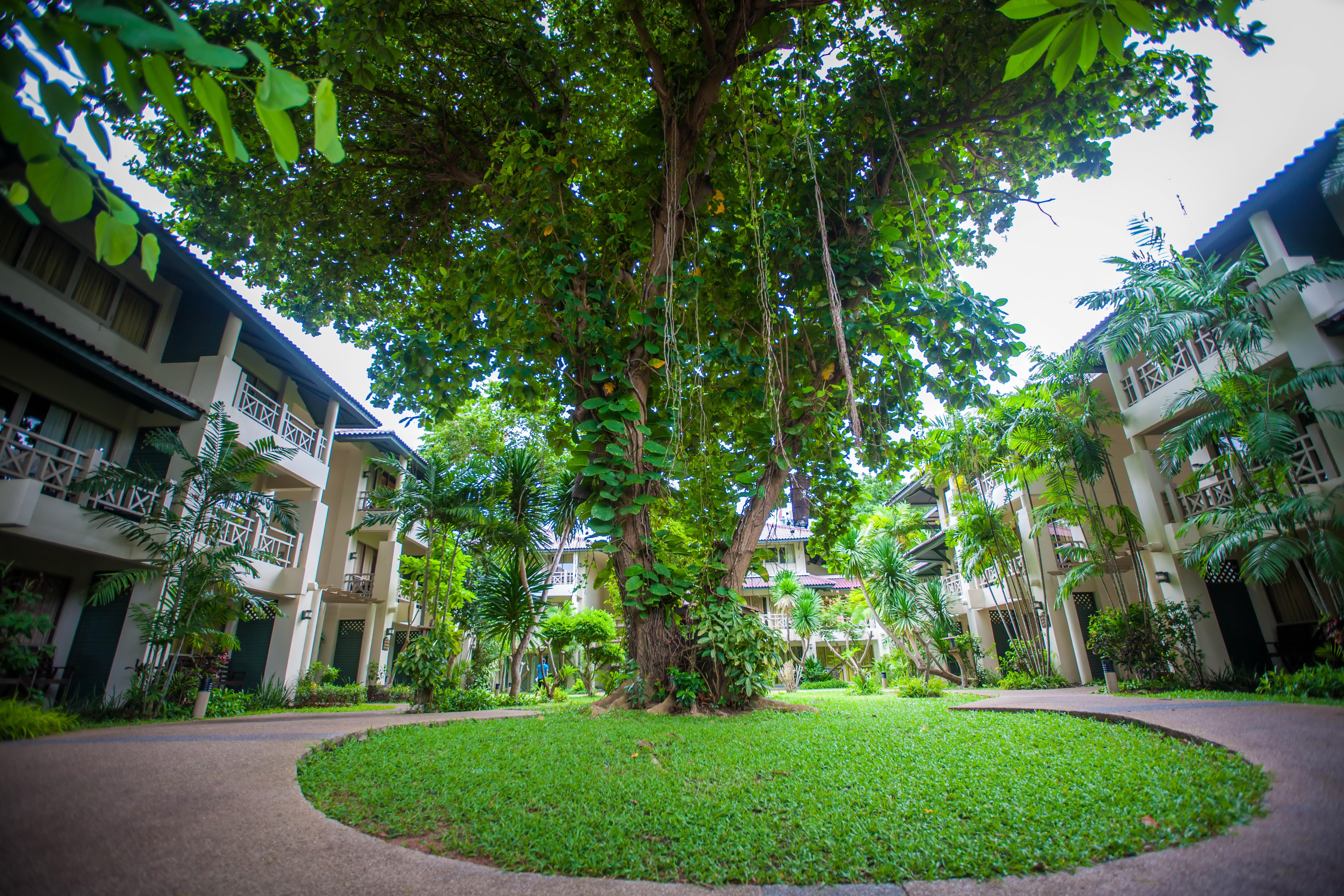Natural Park Resort Pattaya Buitenkant foto